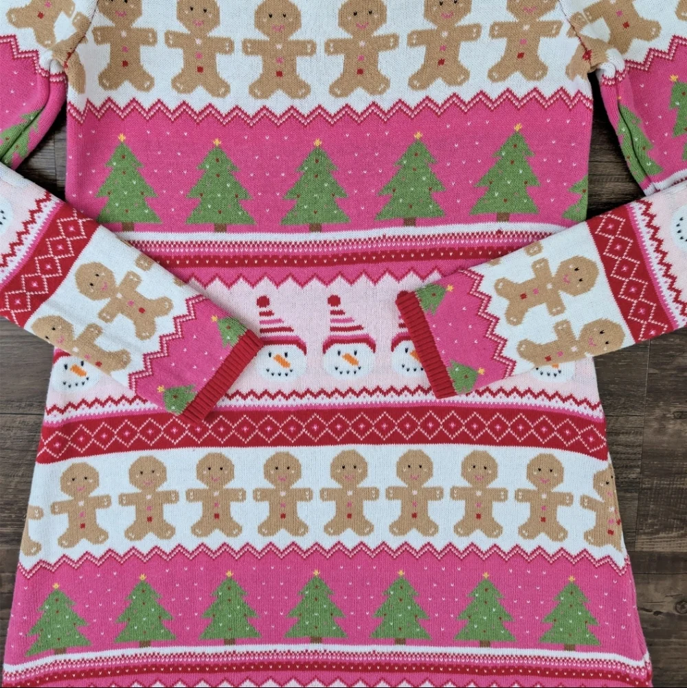 Gymboree Holiday Sweater Dress
